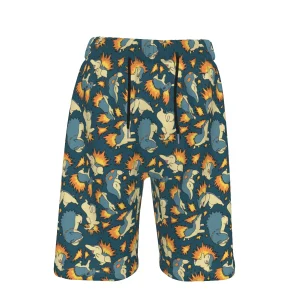 Typhlosion Shorts (Evolution)